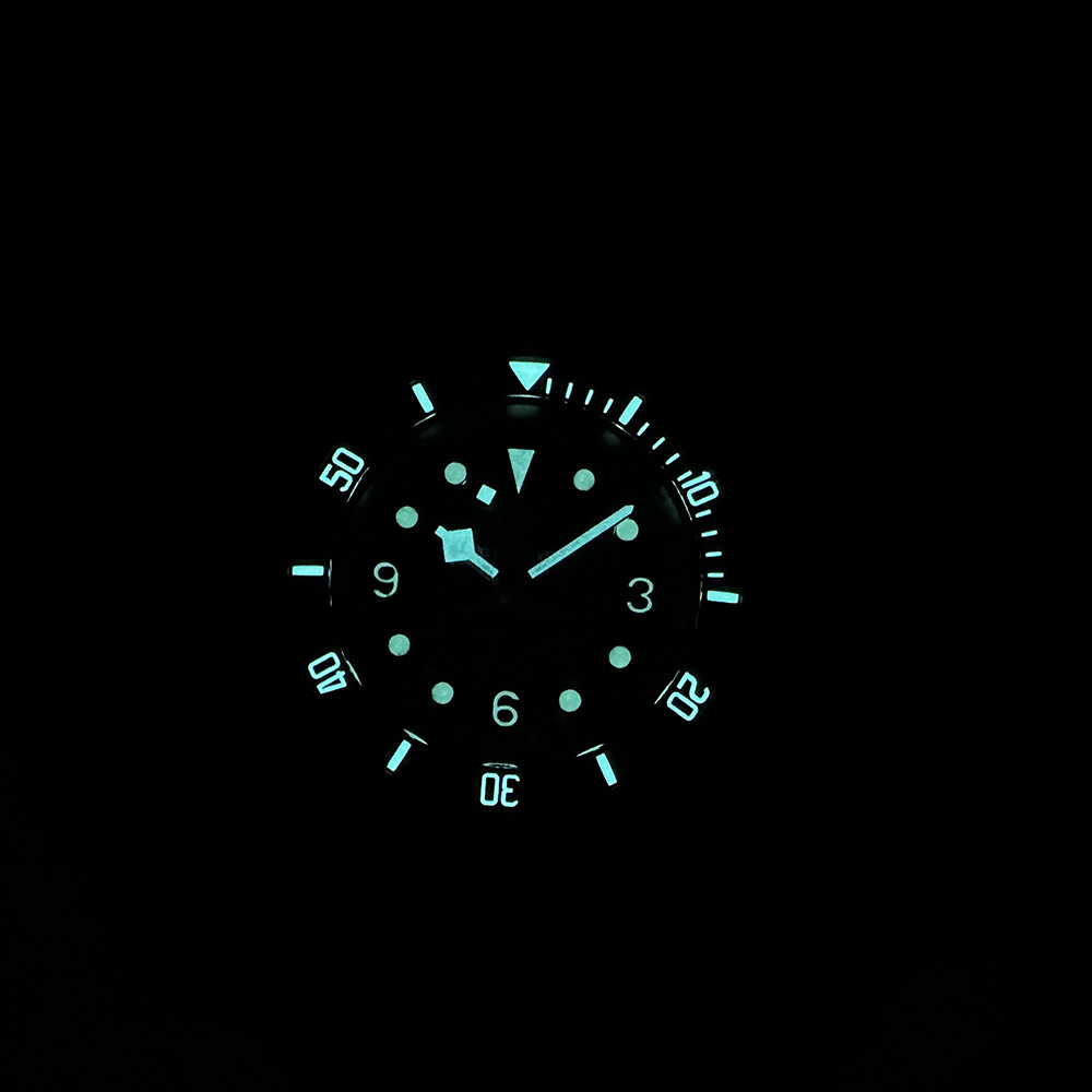 STEELDIVE SD1958 Cassa in acci - Automatic Dive Watch 200M Nh35 Movement recensione e prezzo
